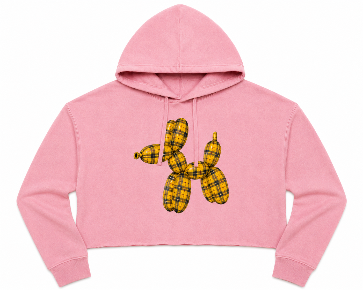 BLLN Clueless Crop