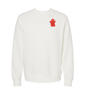 Original BLLN Dog Tie Dye Sweatshirt with Balloon Dog patch